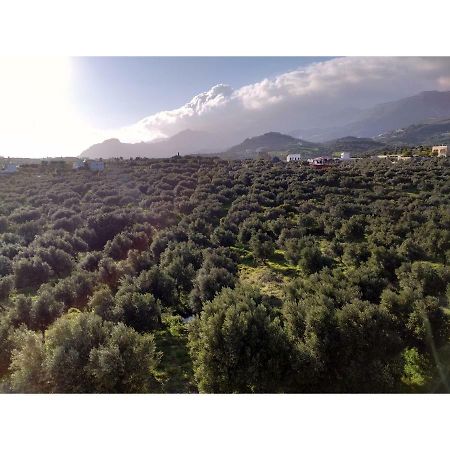 Natural Green Apartment Damnoni Bagian luar foto